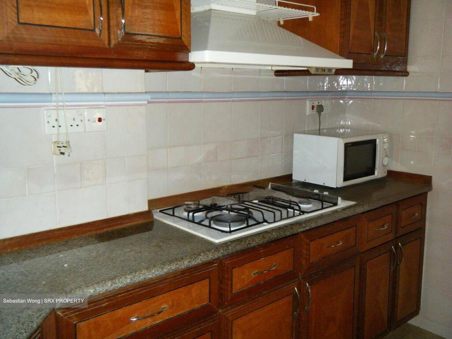 Dover Parkview (D5), Condominium #482338511